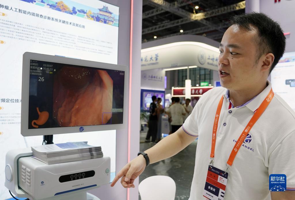 五龙争霸在线下载